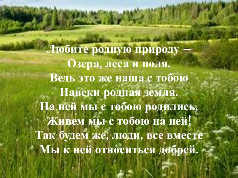 Любите родную природу. Любите родную природу озера леса и поля. Стихотворение любите родную природу озера леса и поля. Любите родную природу озера.