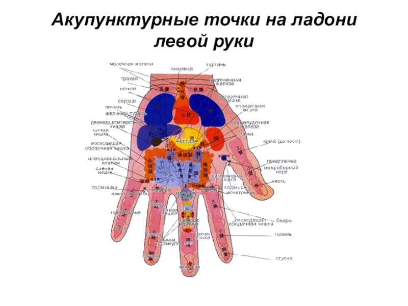 Акупунктура ладони схема