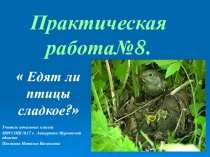 Презентация Практическая работа №8 Программа Перспективная начальная школа 2 класс