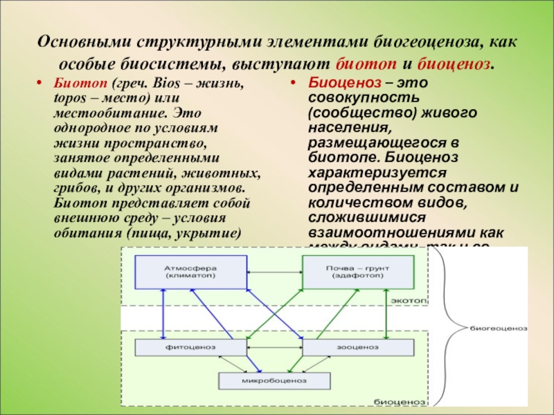 Четырьмя основными компонентами. Основы структурные компоненты экосистемы. Структура экосистемы пространственная видовая экологическая. Основные структурные элементы биогеоценоза. Структура биогеоценоза схема.