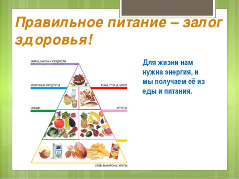 Проект на тему сбалансированное питание