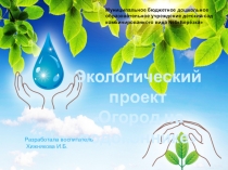 Экологический проект Огород на подоконнике