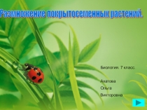 Презентация по теме Размножение покрытосеменных растений 7 класс. Учебник Биология. Многообразие живых организмов В.Б.Захаров, Н.И. Сонин