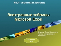 Электронные таблицы Microsoft Excel 2003