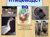 Птицеводство