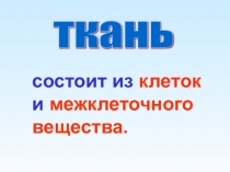 Презентация по биологии на тему: Ткани. 5 класс