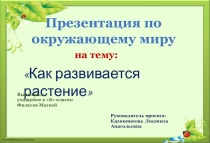 Презинтация на тему Как развивается растение