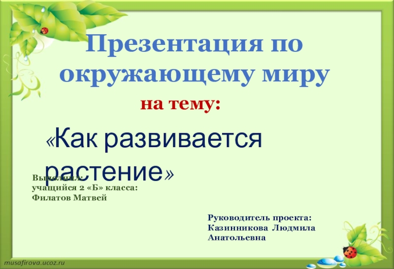 Когда заканчивается развивающийся проект