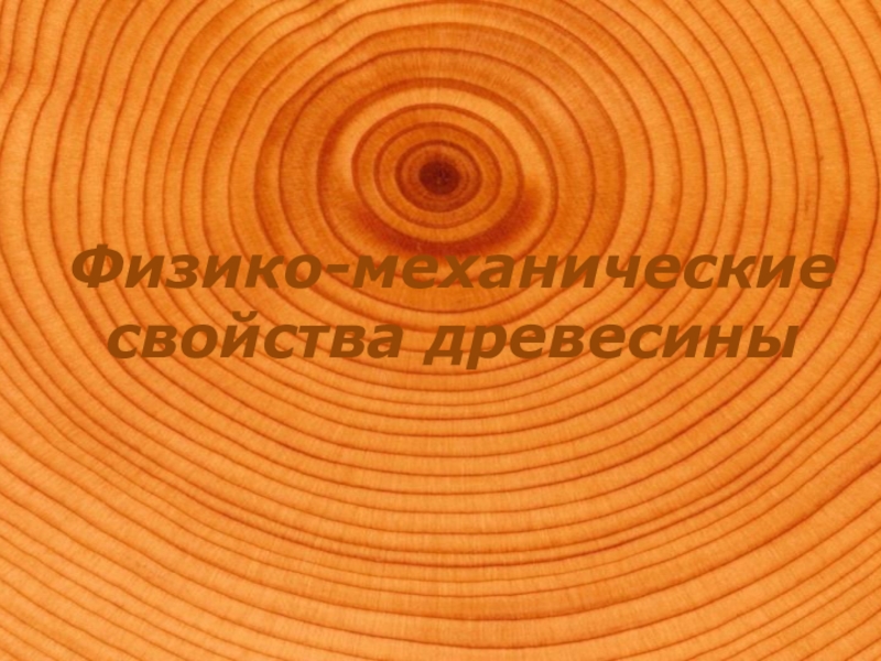 Реферат: Свойства древесины как строительного материала