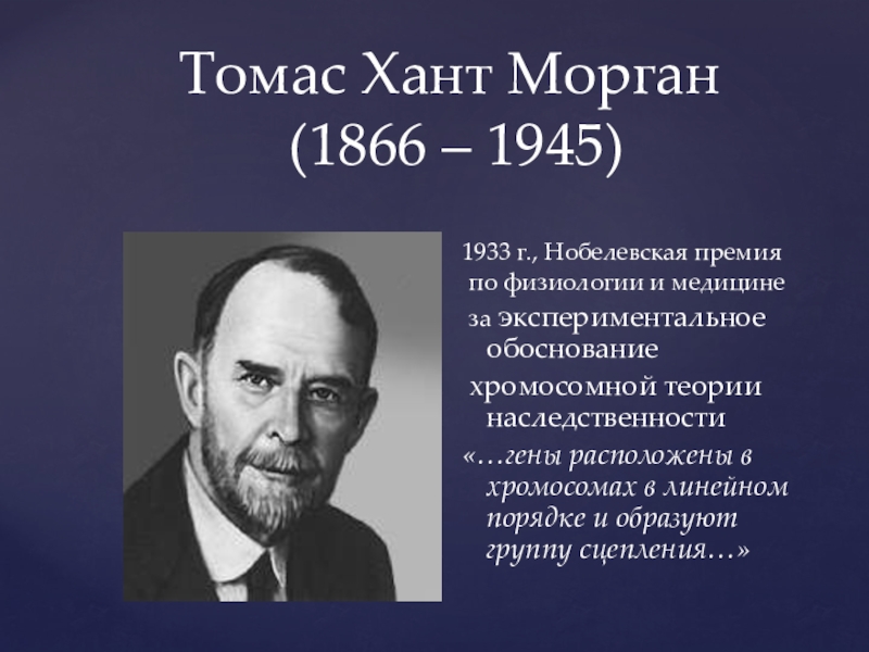 Томас морган презентация