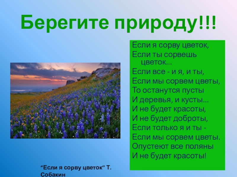 Берегите природу!!!Если я сорву цветок,Если ты сорвешь цветок...Если все - и я, и ты,Если мы сорвем цветы,То