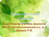 Презентация по биологии тема6Внешнее строение листа 5 класс