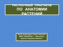 Презентация по биологии на тему:Рисуночный практикум по анатомии растений. Часть первая(6,9,11 классы)