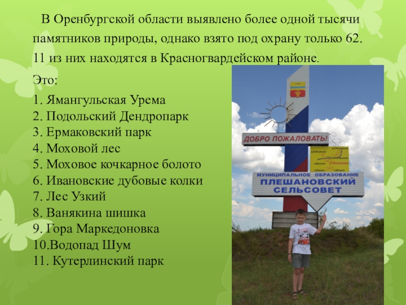 Разнообразие природы оренбургской области 3 класс окружающий мир проект