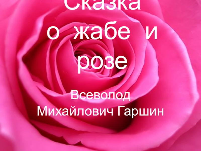 Гаршин сказка о жабе и розе презентация 4 класс школа россии