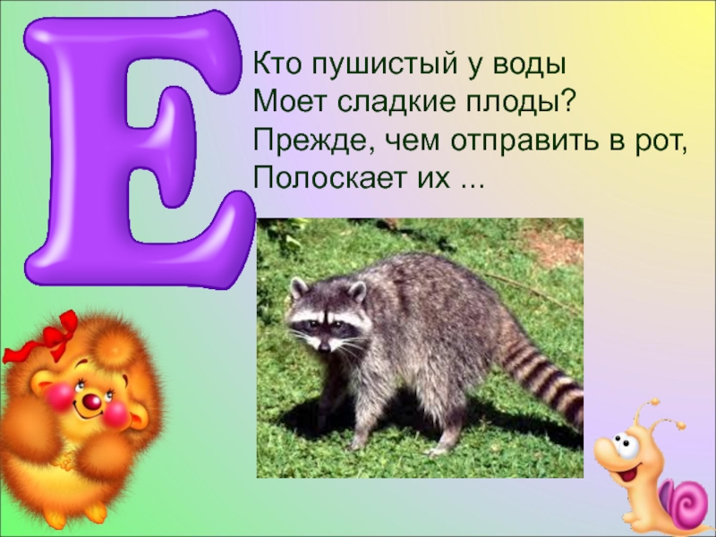 Проект с е р а