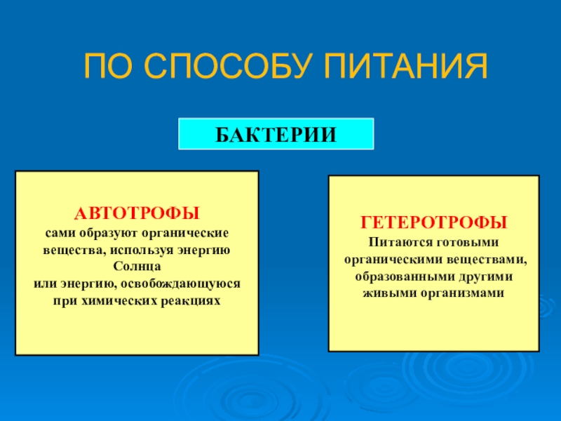 Питание органическими веществами. Питание бактерий биология. Питание бактерий 5 класс. Типы питания бактерий 5 класс. Презентация типы питания микроорганизмов.