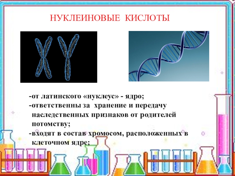 Химический состав клетки презентация 5 класс презентация