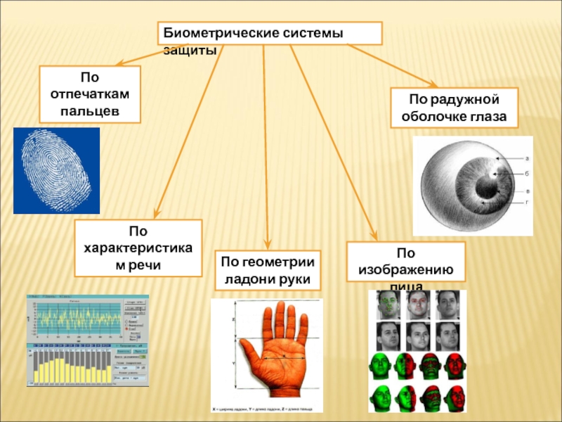 Биометрическая защита данных презентация