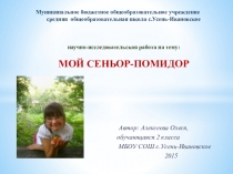 Презентация Мой сеньор помидор