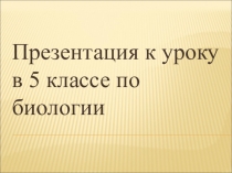 Презентация к уроку Строение клетки,5 класс