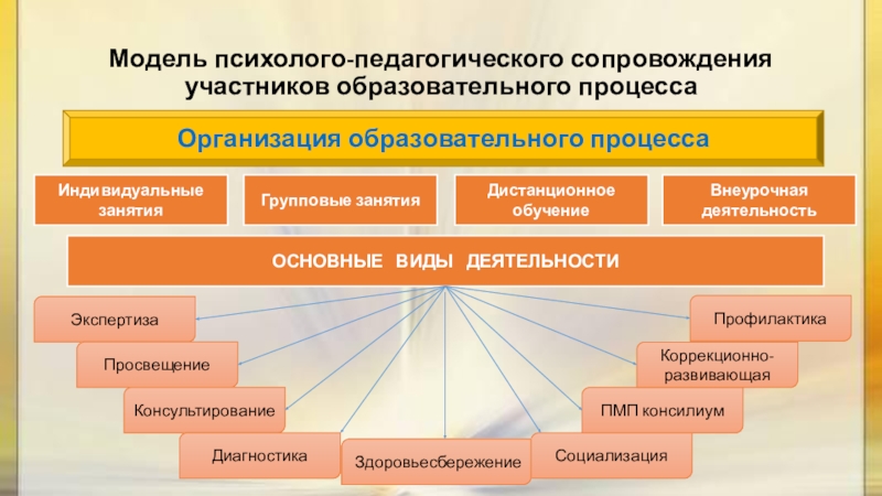 Психолого педагогическому сопровождению участников образовательных отношений