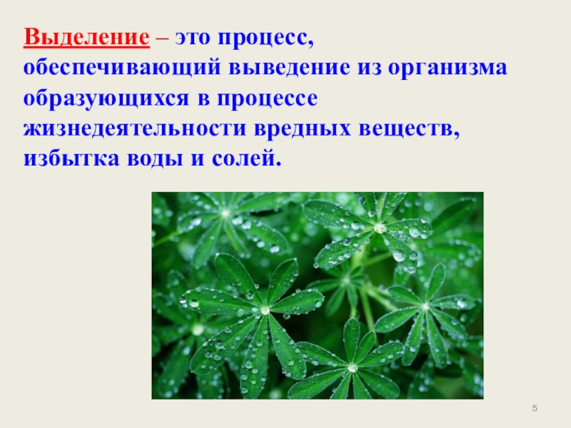 Выделите это процесс. Выделение вредных веществ у растений. Процесс выделения. Выделение излишек воды у растений. Вредные вещества и избыток воды выделяются из организма.