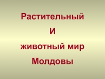 Презентация по биологии 7 класс