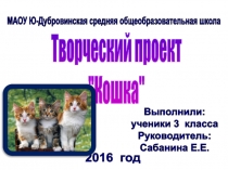 Презентация к проекту по окружающему миру на тему Кошки (3 класс)