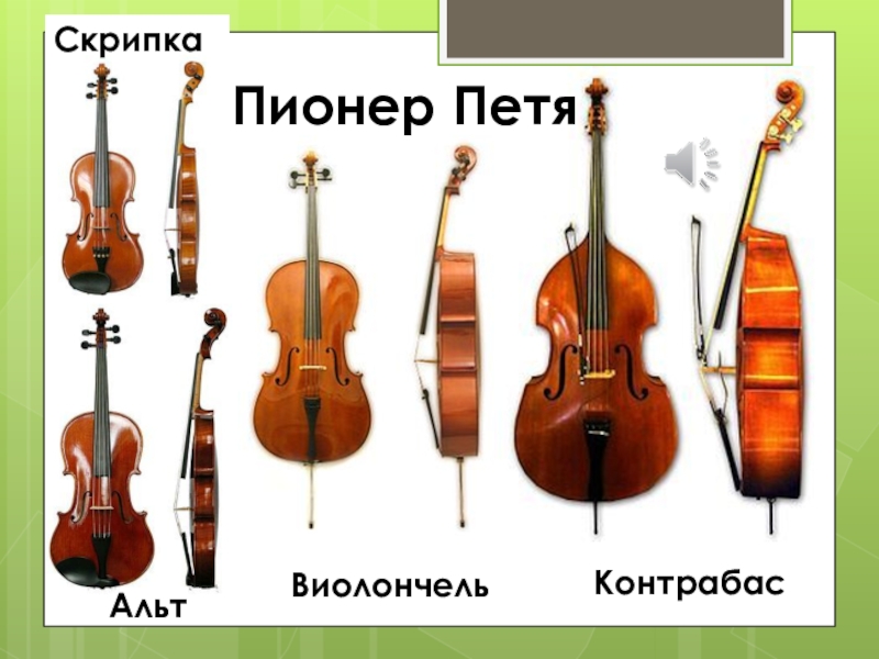 Типы скрипок. Скрипка Альт виолончель контрабас. Струнно смычковые инструменты. Струнно-смычковые музыкальные инструменты. Оркестровые струнные инструменты.