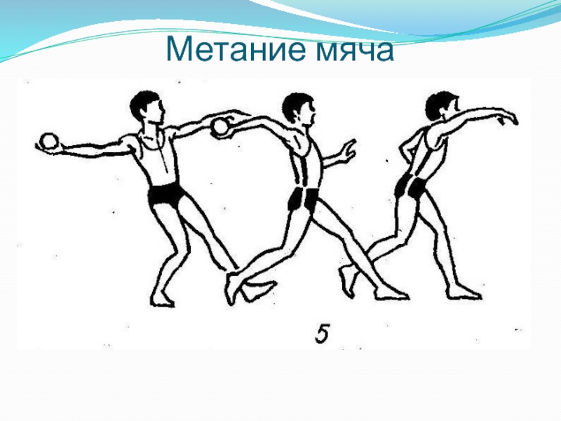 Метание мяча презентация