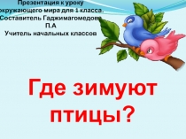 Где зимуют птицы