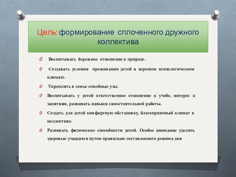 Наметьте план мероприятий по созданию и сплочению команды