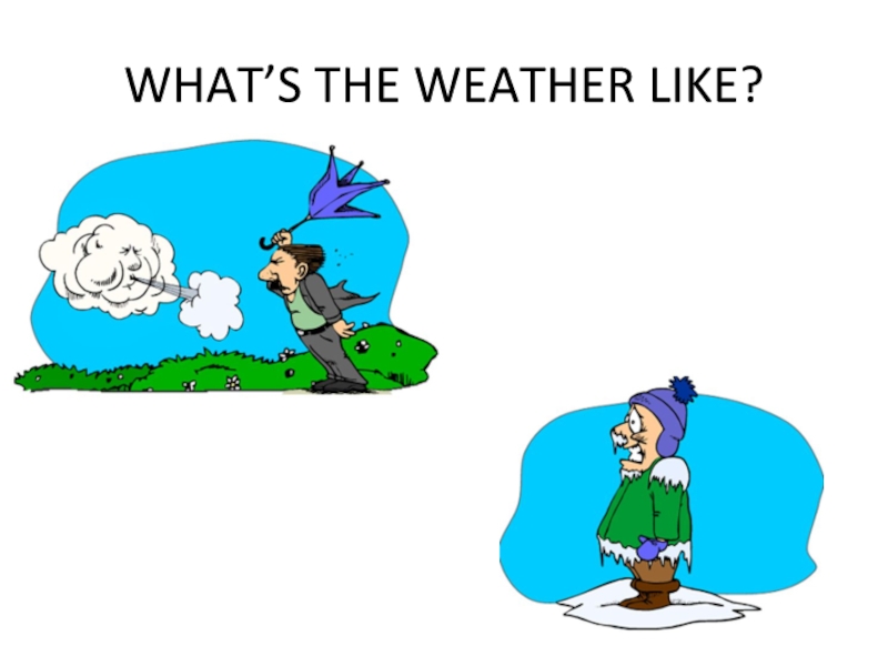 WHAT’S THE WEATHER LIKE?