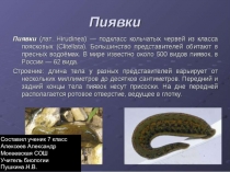 ПРЕЗЕНТАЦИЯ ПО ТЕМЕ пИЯВКИ 7 КЛАСС