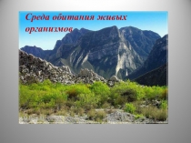 Презентация Среда обитания живых организмов