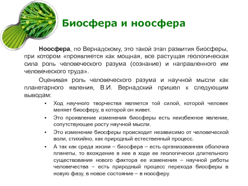 Презентация биосфера глобальная экосистема 11 класс биология