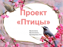 Презентация по экологическому развитию на тему Птицы