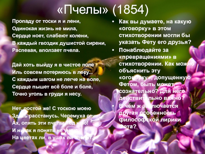 «Пчелы» (1854)Пропаду от тоски я и лени,Одинокая жизнь не мила,Сердце ноет, слабеют колени,В каждый гвоздик душистой сирени,Распевая,