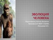 Презентация урока: Эволюция человека!