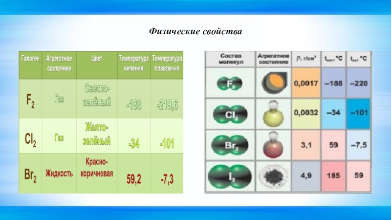 Презентация на тему галогены по химии 9 класс