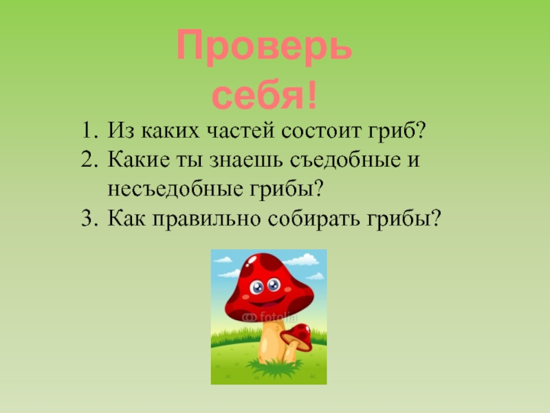 В царстве грибов презентация 3 класс окружающий мир плешаков