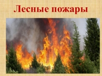 Презентация по ОБЖ на тему : Лесные пожары