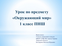 Презентация по окружающему миру на тему в лес по ягоды пойдём (1 класс ПНШ)