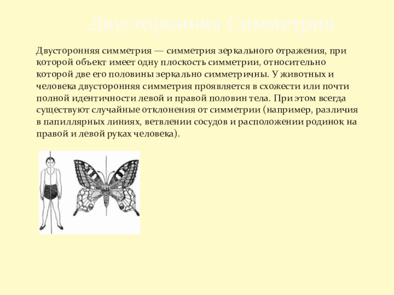 Симметрия в природе и на практике презентация