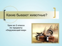 Презентация Какие бывают животные