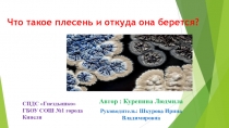 Презентация исследовательской деятельности. На Тему :  Что такое плесень и откуда она берется?