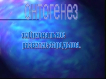 Презентация по биологии на тему Онтогенез