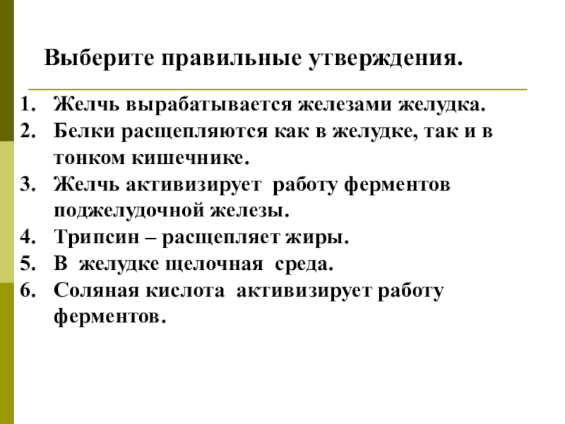 функции желчи расщепляет белки