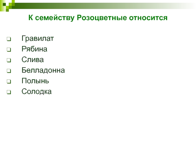 К семейству Розоцветные относится ГравилатРябинаСливаБелладоннаПолыньСолодка